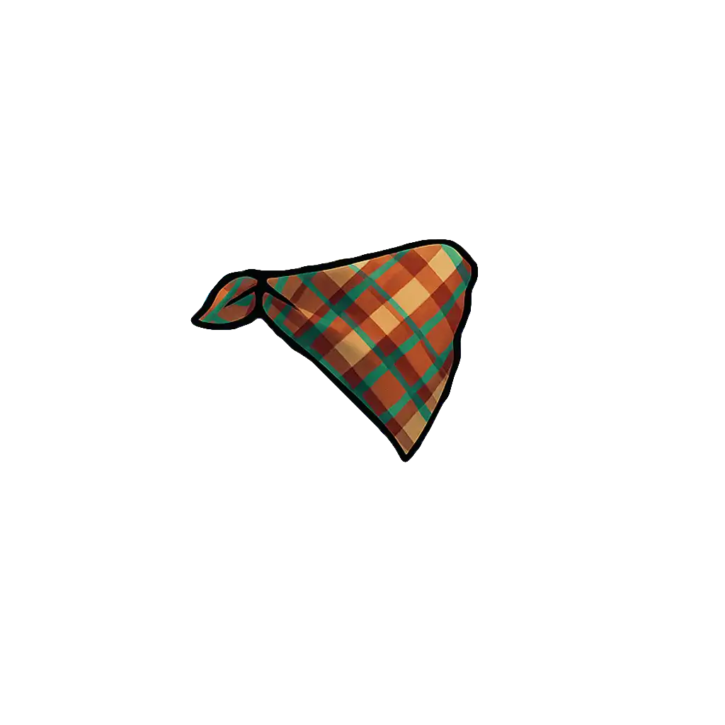 Accessory 15